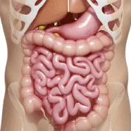 આંતરડાને સ્વસ્થ અને મજબૂત બનાવવા માટે 5 ચમત્કારિક ઘરેલું ઉપાય